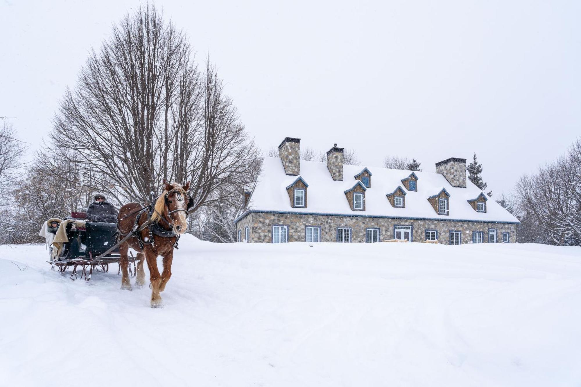 Le Baluchon Eco-Villegiature Saint-Paulin Eksteriør bilde